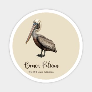 Brown Pelican - The Bird Lover Collection Magnet